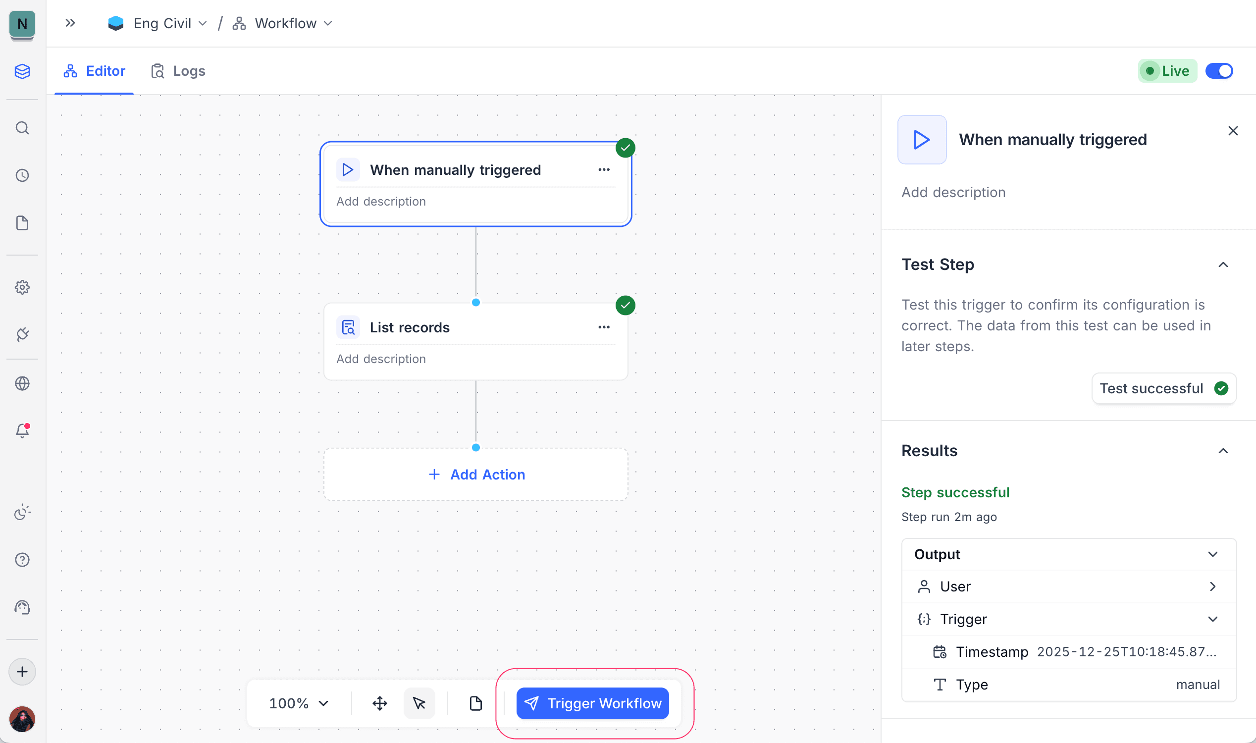 Manual Trigger Execution
